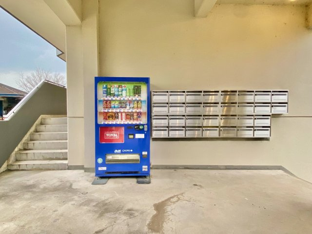 シャローム山城