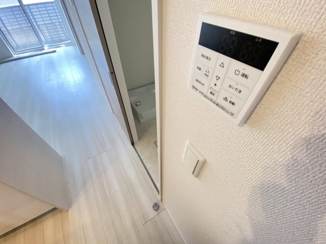 【その他】 | アナベル