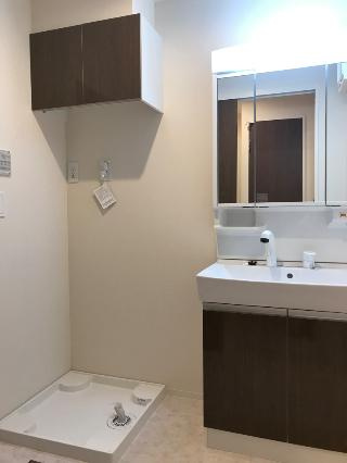 上益城郡益城町大字古閑のアパートの独立洗面台