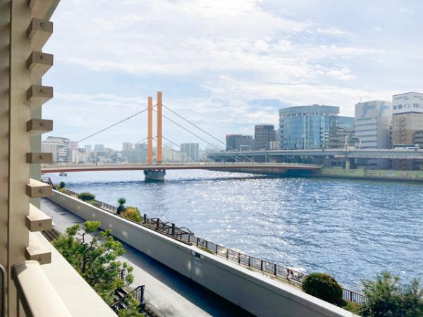 東京アインスリバーサイドタワーの展望