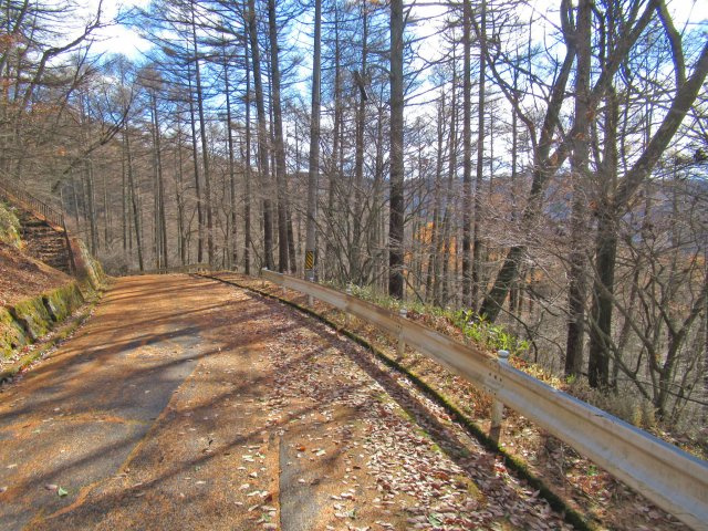 森泉郷別荘地②の前面道路含む現地写真