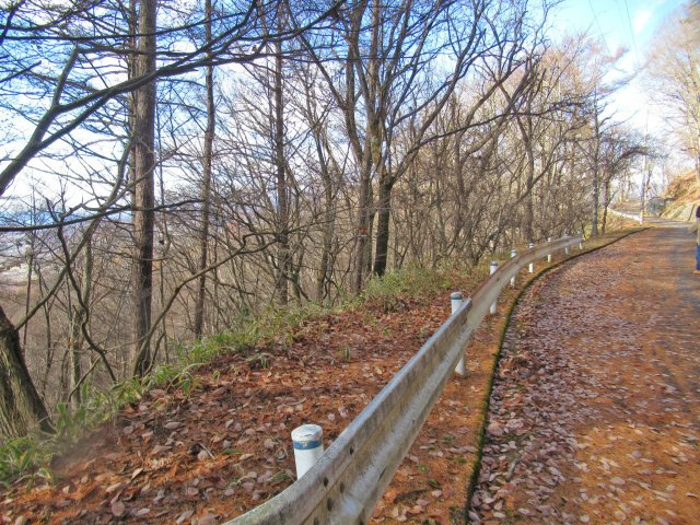 森泉郷別荘地②の前面道路含む現地写真
