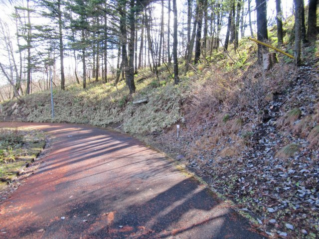 森泉郷別荘地③