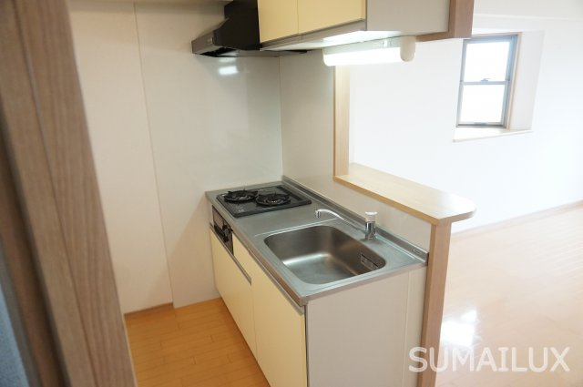 熊本市中央区南熊本１丁目の賃貸マンションのキッチン