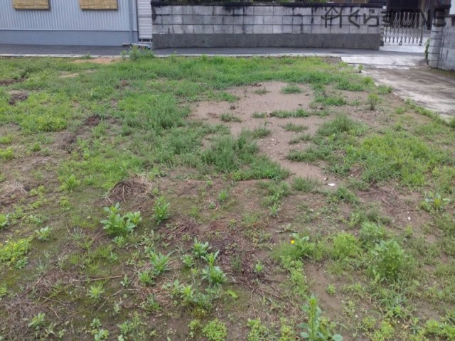 【外観】 | 姫路市四郷町東阿保／売土地
