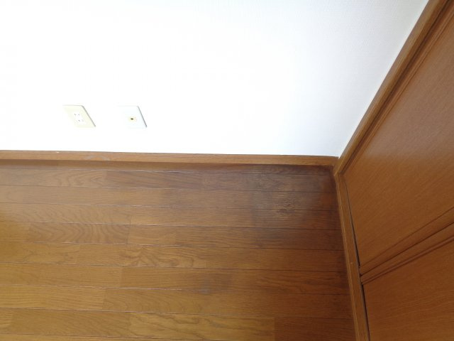 ソルフェージュのその他