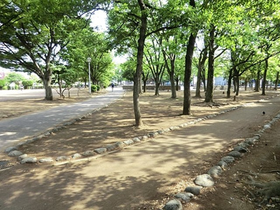 駅前公園まで300m