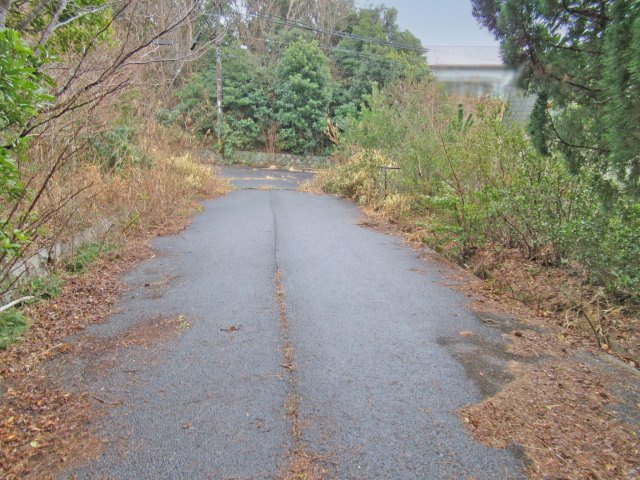 国府白浜台①の前面道路含む現地写真