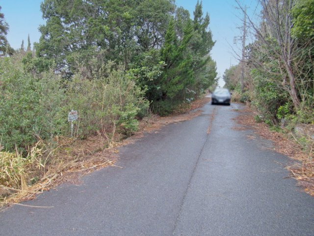 国府白浜台①の前面道路含む現地写真