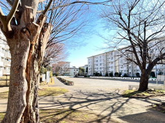 【周辺】 | 敷地内公園