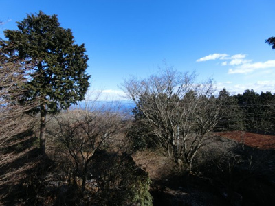 【展望】 | 天城高原別荘地　戸建