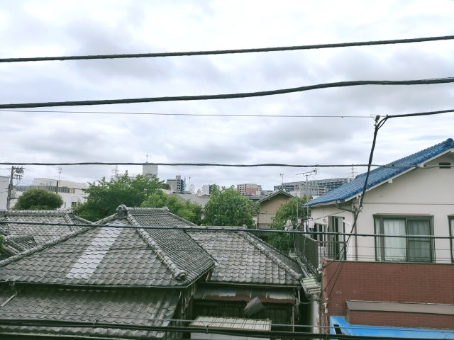 日興パレス新小岩の展望