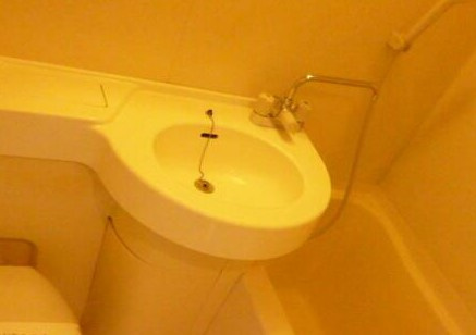 チェリーコート武蔵小金井の洗面所