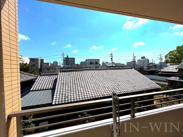 アネシスサイトウの展望