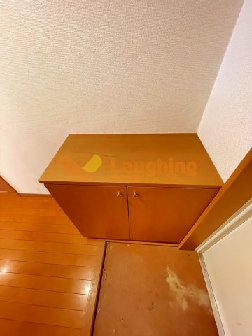 サンモール梅満の玄関|明るい玄関です