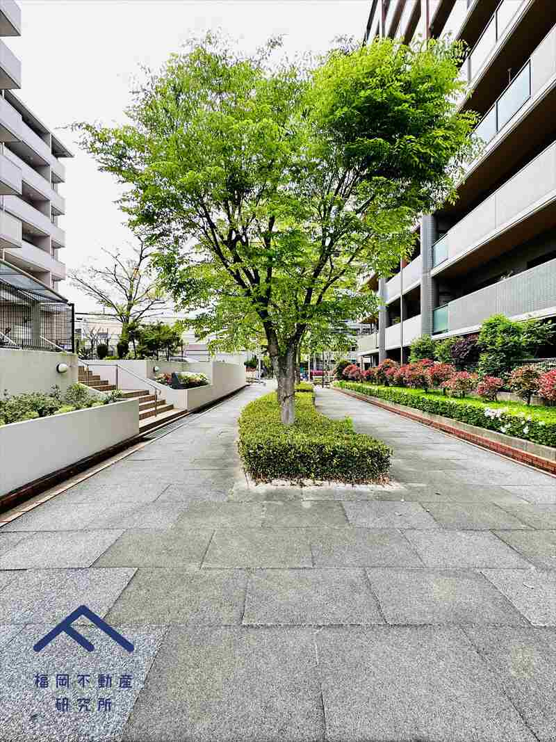 ステラ月の浦A棟の周辺