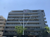 福岡市東区箱崎３丁目のマンションの画像