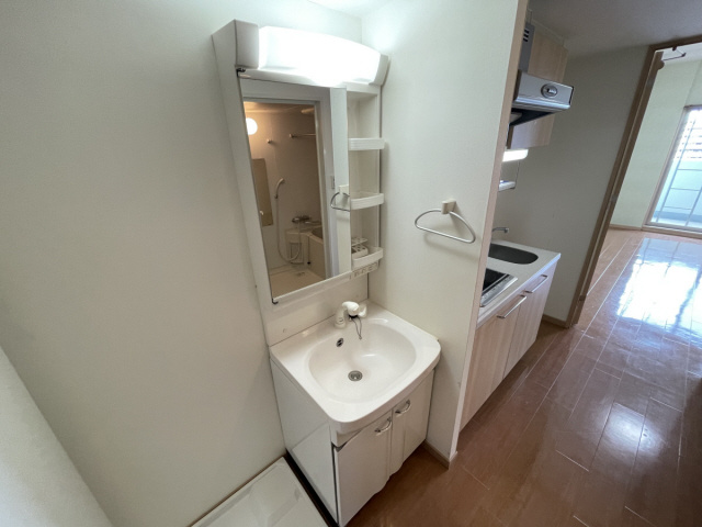 スカイビュー六甲の洗面所