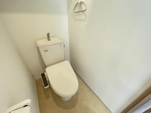 スカイビュー六甲のトイレ