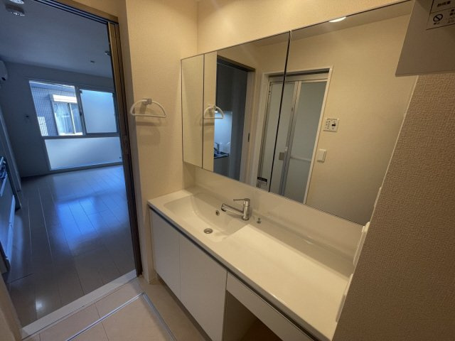 D-room高羽の洗面所