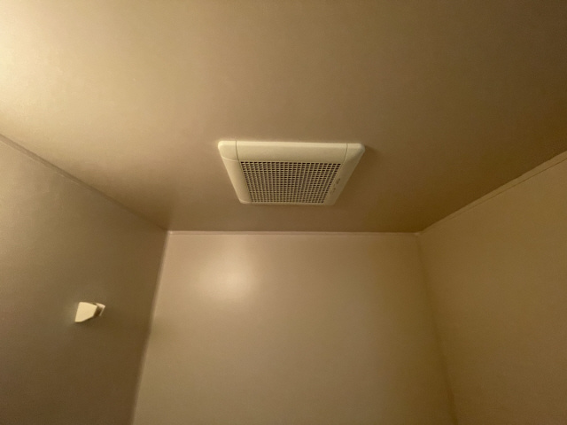 ミストラル摩耶のその他