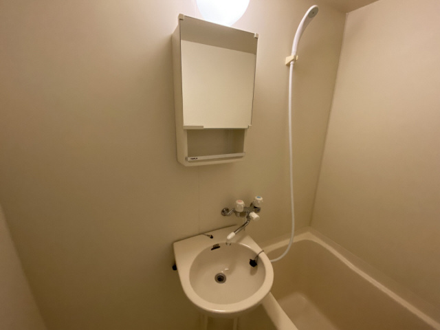 シティライフつかさⅤの洗面所