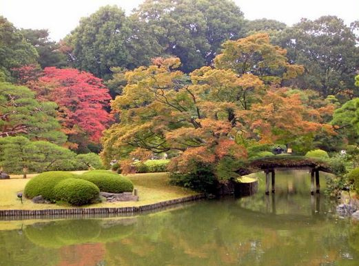 エステムコートKomagome六義園の周辺|六義園