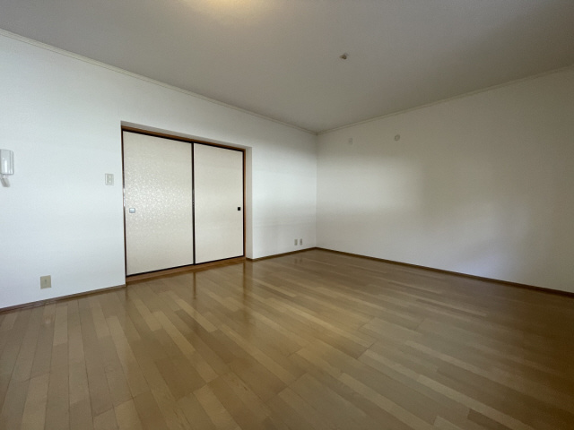 シャネル大原のその他