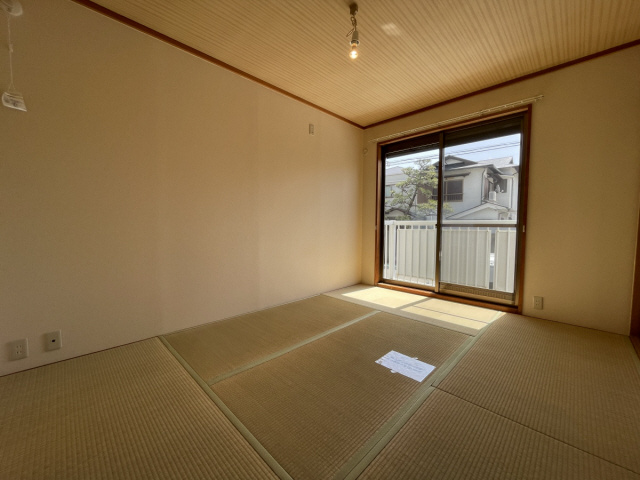 シャネル大原のその他