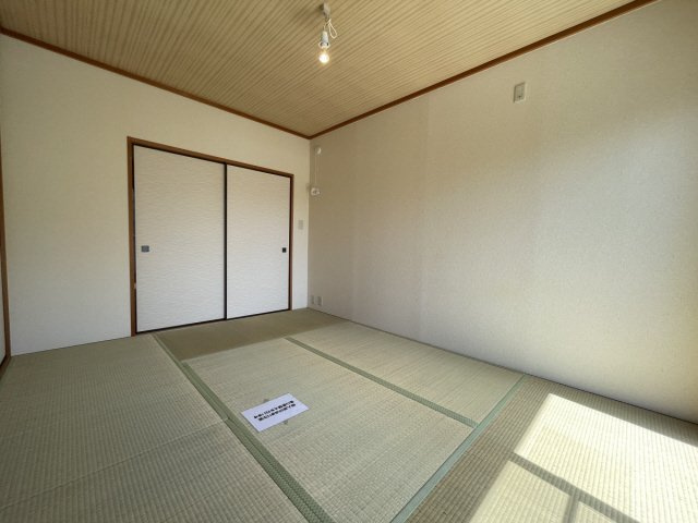 シャネル大原のその他