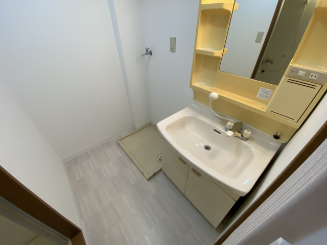 ルミナス御影の洗面所