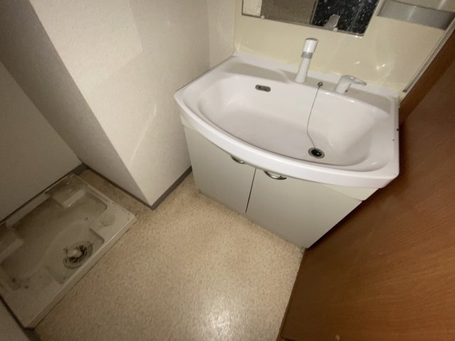 アムール住吉の洗面所
