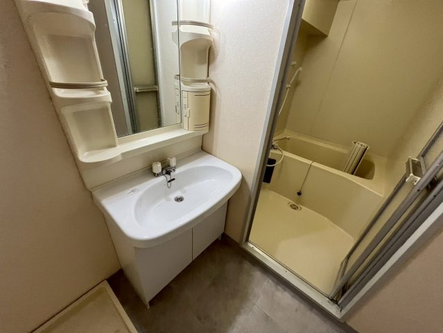 メゾンミヤマエの洗面所