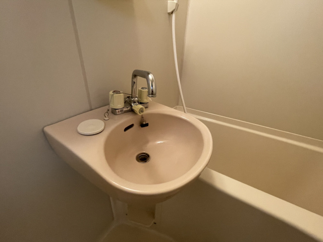 ビス・メゾン塚町の洗面所