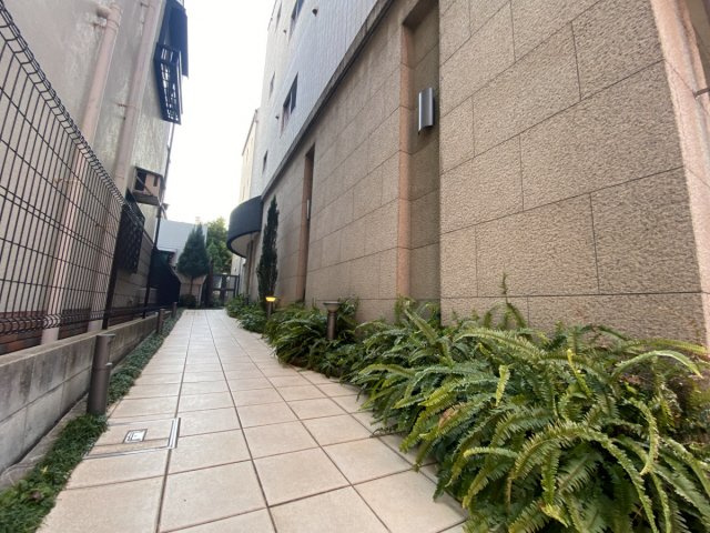 カサデフェリスのその他