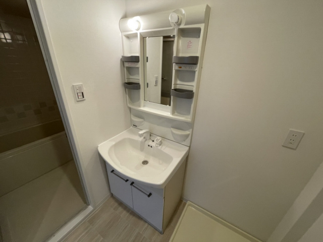 グッズインアシヤの洗面所