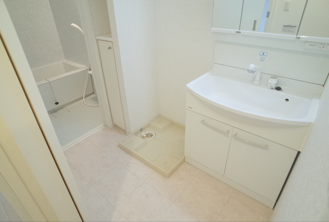 メゾンドバレーの洗面所