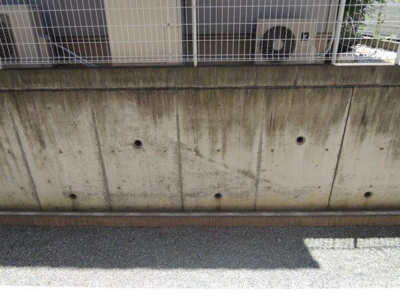 【展望】 | エスポア