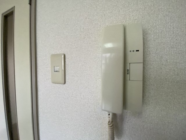 シェトワ大石のその他