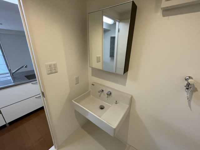 甲南オーキッドの洗面所