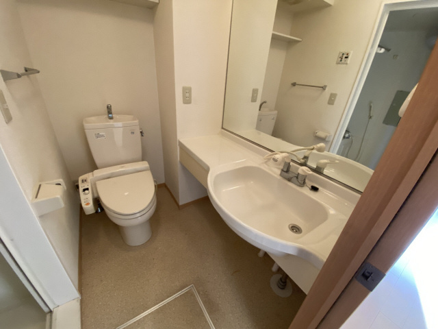 ハイツ大蔵の洗面所