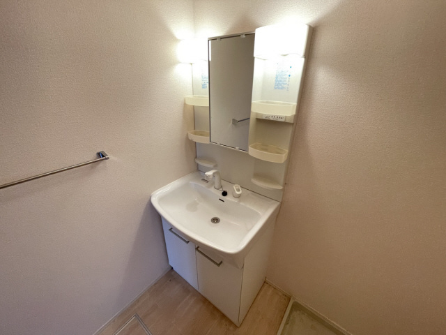 サニーレジデンスの洗面所