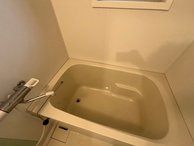 セレブコートⅡの浴室