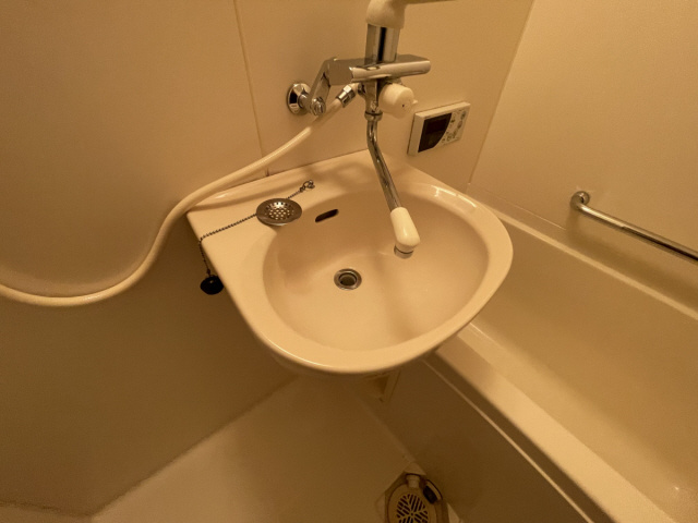 ヴィラ本山の洗面所