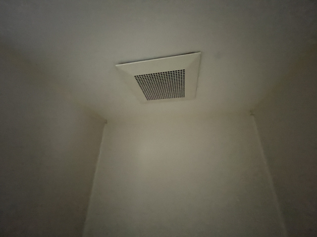 Enzzo Kuriyama のその他