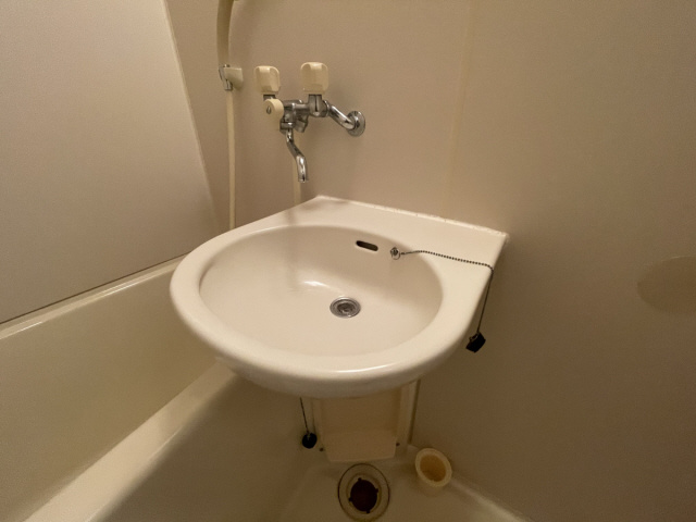 東芦屋マンションの洗面所