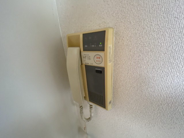 フローレンスヨウコ甲南のその他