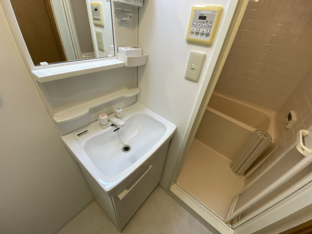 サンフォーレ岡本の洗面所