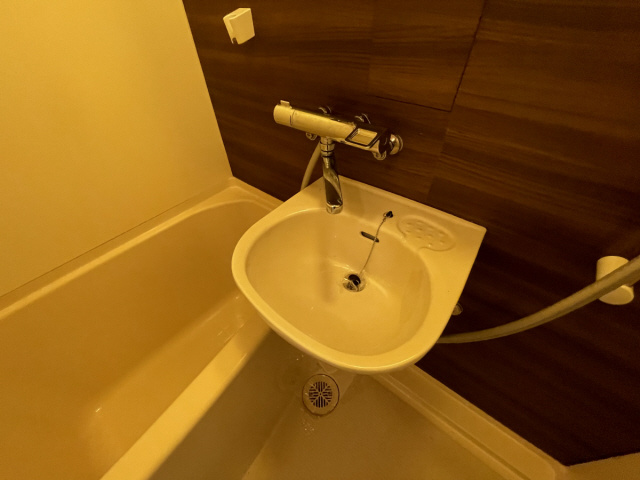 シャルムメゾン本庄の洗面所