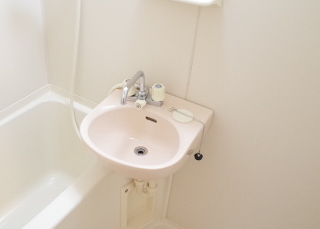 ロイヤルコート神戸岡本の洗面所